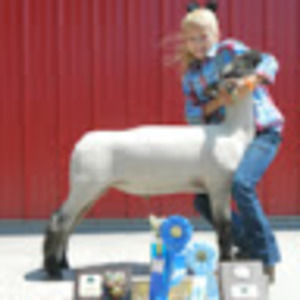 Meet your Posher, Morgan